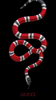 Обои с Gucci змеей: бесплатно для скачивания в различных форматах