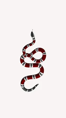 Фотографии Gucci змеи на телефон: JPG, PNG, WebP