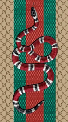Gucci змея: стильные обои на телефон и рабочий стол