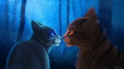 Коты воители обои