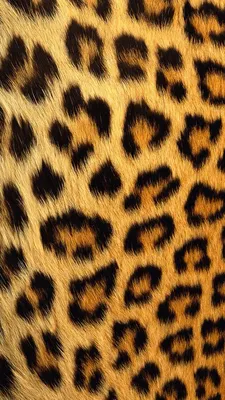 Леопардовые обои на телефон - скачать бесплатно