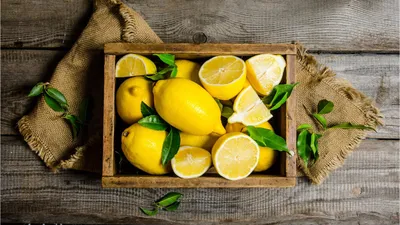 Скачать бесплатно фото лимонов для рабочего стола Windows