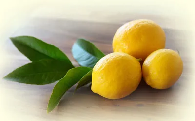 Фото лимонов для вашего iPhone в webp формате