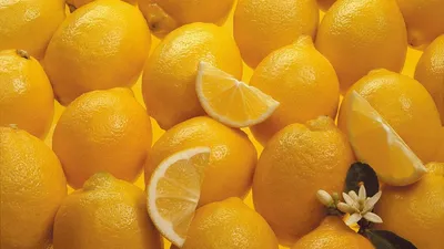 Лимоны – отличный фон для вашего телефона