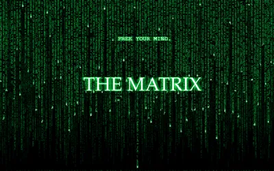 Обои «Матрица» на WallpaperDog