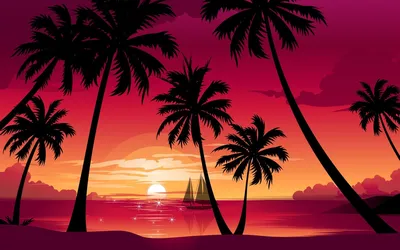 Фото Пальмы закат: пышная красота природы 