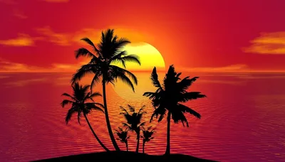 Пальмы закат: виртуальный отпуск каждый день