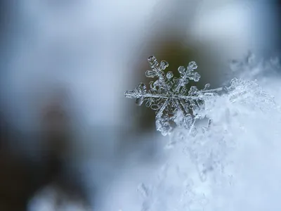 Фото Первый снег в webp формате для Android