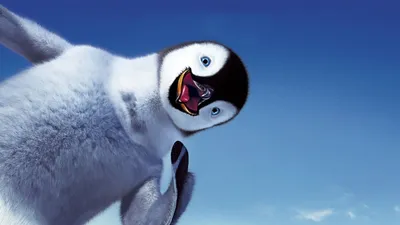 Пингвины и лед: обои для работы и отдыха, jpg формат