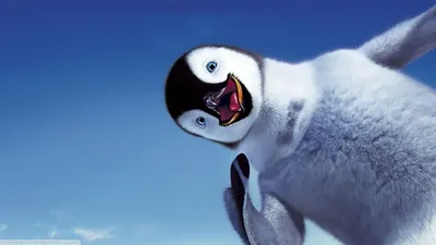 Фотографии пингвинов на выбор: различные форматы и размеры