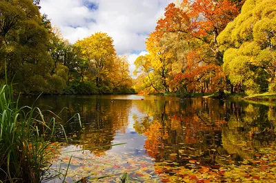 Фото Природа осень - обои для Android бесплатно