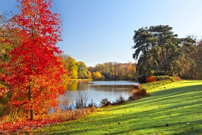 Фото Природа осень - обои для iPhone и Android
