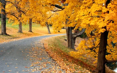 Фото Природа осень - обои для iPhone бесплатно