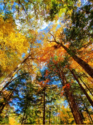 Загружайте обои Природа осень в формате jpg