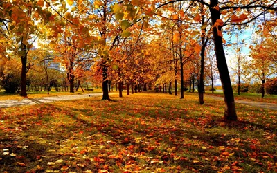 Обои Природа осень - красивый фон для смартфонов