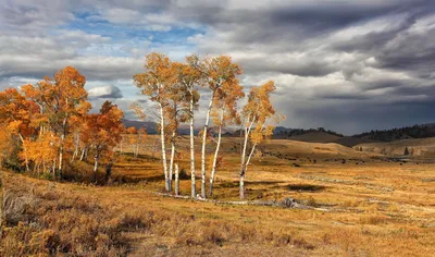 Фото Природа осень - обои высокой четкости