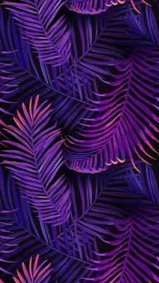 Фото Пурпурные в формате webp для рабочего стола
