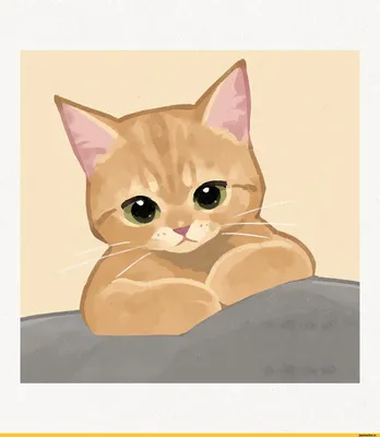 Фото рыжего кота - обои для iPhone в webp формате