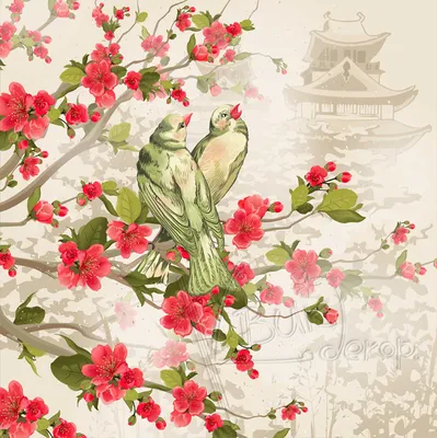Уникальные обои с изображением цветущей Сакуры