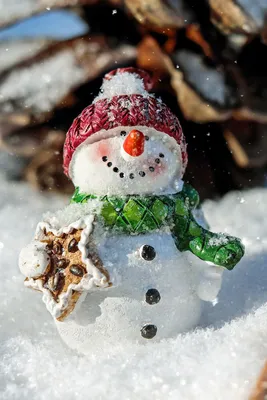 Фото снеговика в качестве обоев для iPhone: jpg формат