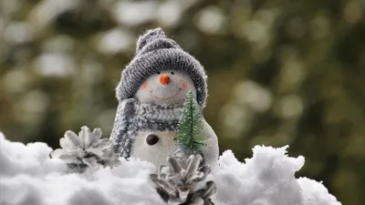 Снеговик на фото для Android: скачать бесплатно