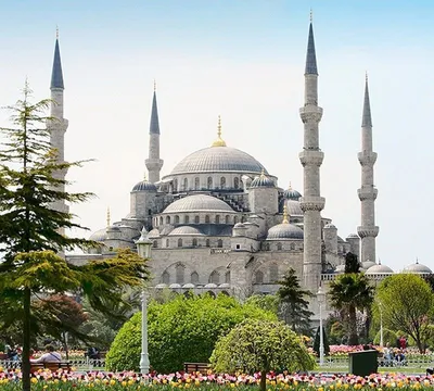Стамбул: Мысли о путешествии через обои