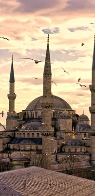 Стамбул: Изысканные обои для ценителей красоты