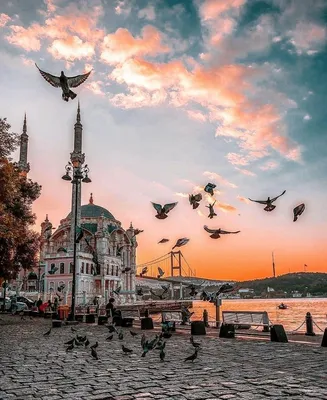 Стамбул: Свежие обои для любителей путешествий