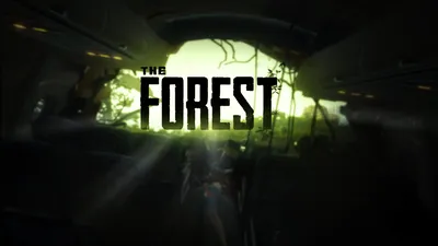 The forest: фото на рабочий стол в формате jpg