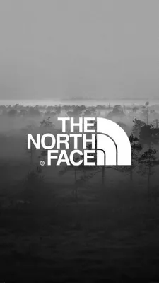 Фото The North Face в формате WebP: качество выше всяких похвал
