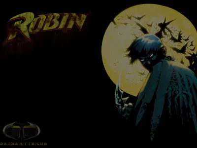 Робин Тим Дрейк Бэтмен Найтвинг Дэмиан Уэйн, PNG, 652x1612px, Робин, Барбара Гордон, Бэтмен, Капитан Америка, Кассандра