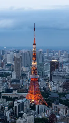Футуристические обои Токио - фон для телефона в формате jpg