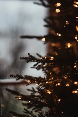 Бесплатные обои Уютный новогодние - создайте атмосферу праздника на рабочем столе