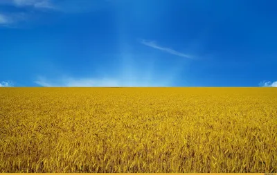 Фото Украина в формате jpg для рабочего стола Windows