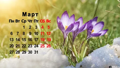 Обои на телефон с изображением весны: бесплатно и с возможностью выбора формата