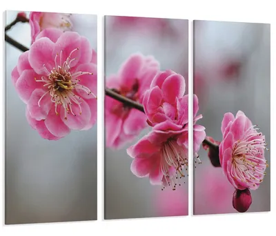 Весна цветы: обои на телефон в формате jpg