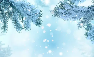 Обои Ветки в снегу для iPhone и Android: Зимний уют на вашем экране
