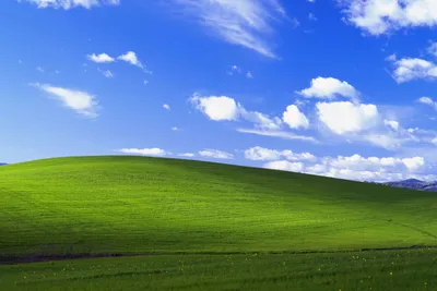 Уникальные обои Windows XP для загрузки