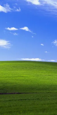 Фоновые изображения Windows XP для телефона