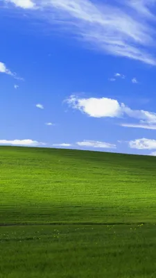 Windows XP: обои для ценителей классического дизайна