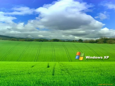 Стильные обои Windows XP для рабочего стола