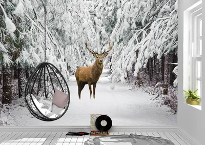 Фон 'Winter art': Загадочные обои для вашего рабочего стола