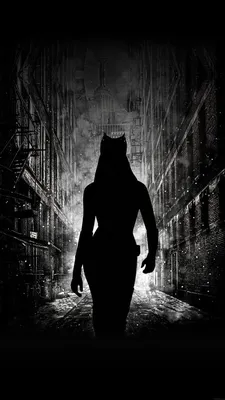 ab23-обои-женщина-кошка-идущая в темноте