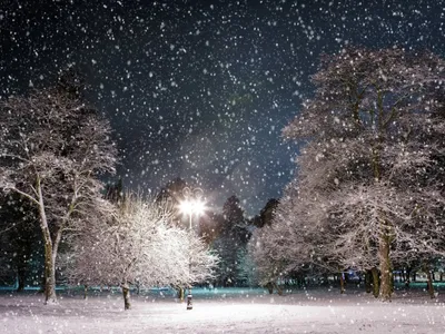 Зимняя ночь: фото для смартфонов в хорошем качестве (бесплатно)