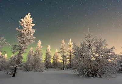 Зимняя ночь: фото на рабочий стол (jpg, png, webp)