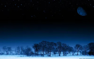 Зимняя ночь: обои для iPhone, Android и Windows (бесплатно)