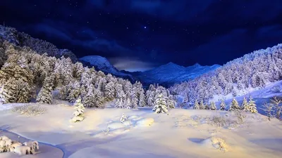 Зимняя ночь: обои на рабочий стол (jpg, png, webp)