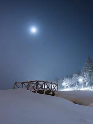 Зимняя ночь: фото на телефон (jpg, png, webp)