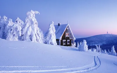 Оживите свой телефон зимней сказкой: фотообои на тему зимы
