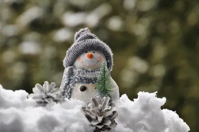 Зимние HD фото: Бесплатные обои снеговиков для всех устройств
